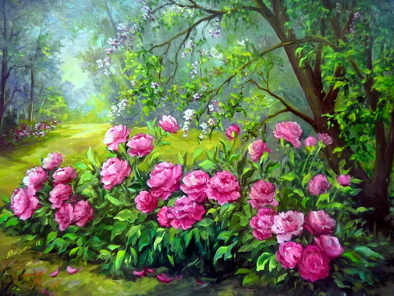 Pink Peonies in Garden — Serene, Spring