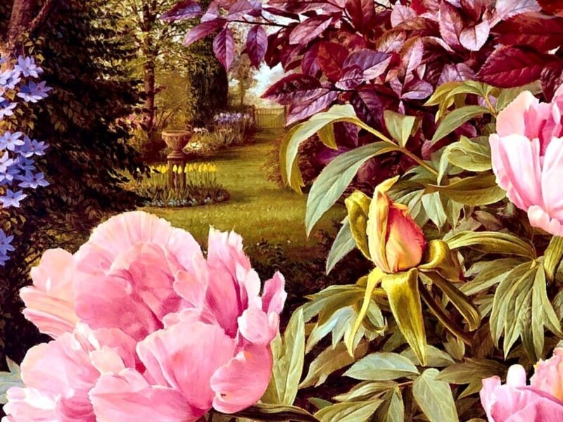 Pink Peonies in Garden — Serene