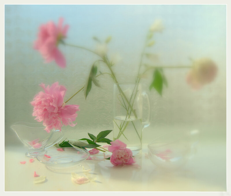 Pink Peonies in Glass
