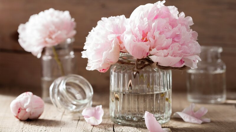 Pink Peonies in Glass Vase