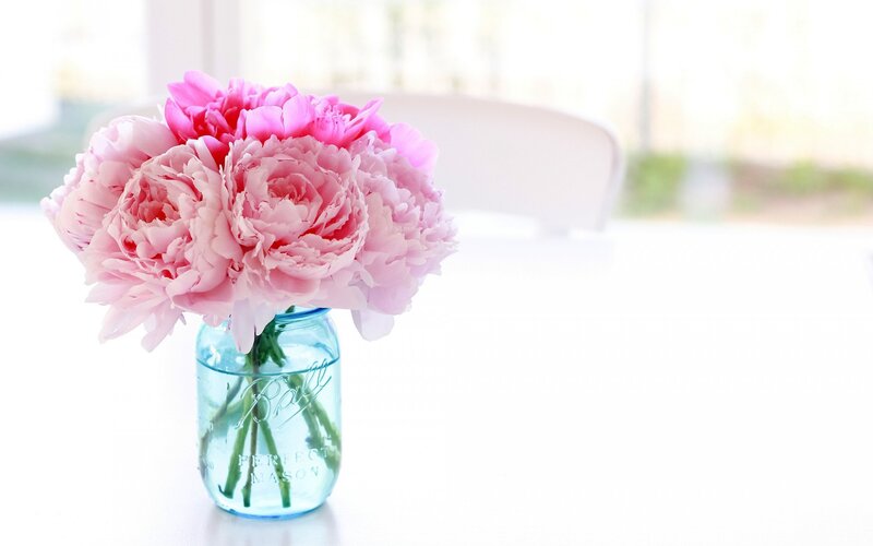 Pink Peonies in Jar — Serene, Morning