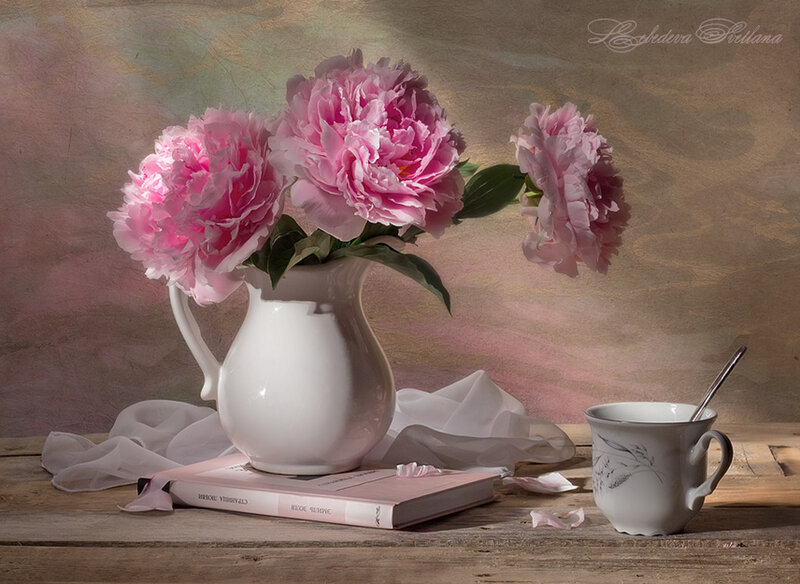 Pink Peonies in Pitcher — Serene, Afternoon