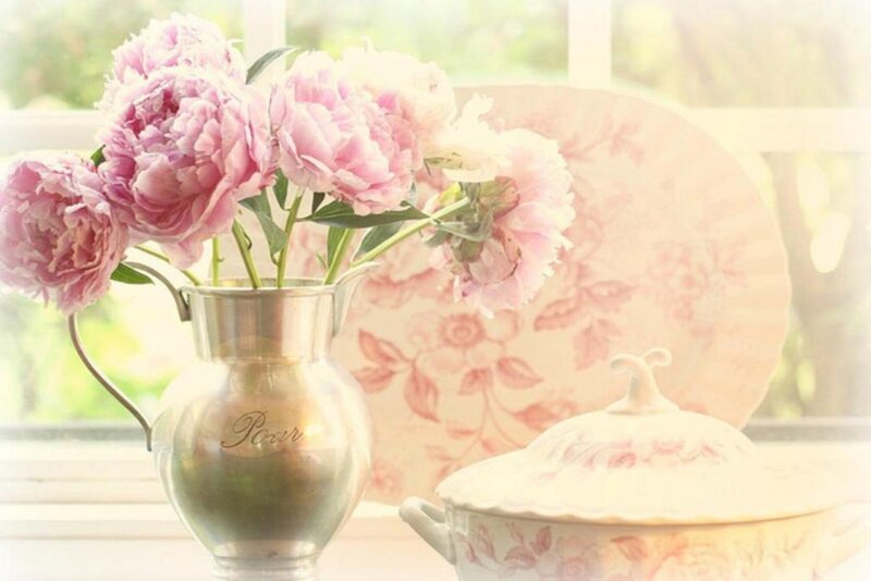 Pink Peonies in Pitcher — Serene, Morning