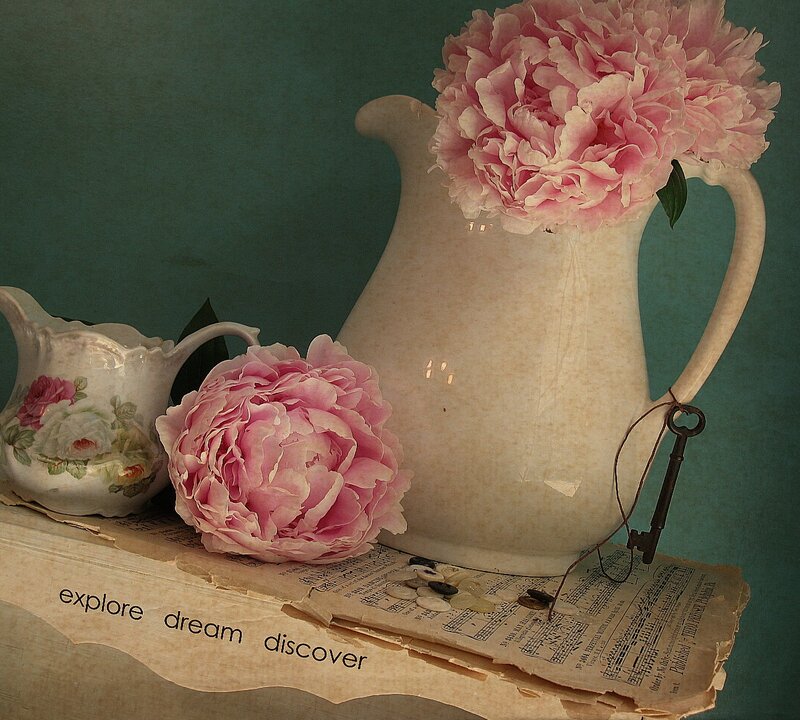Pink Peonies in Pitcher — Serene, Photograph