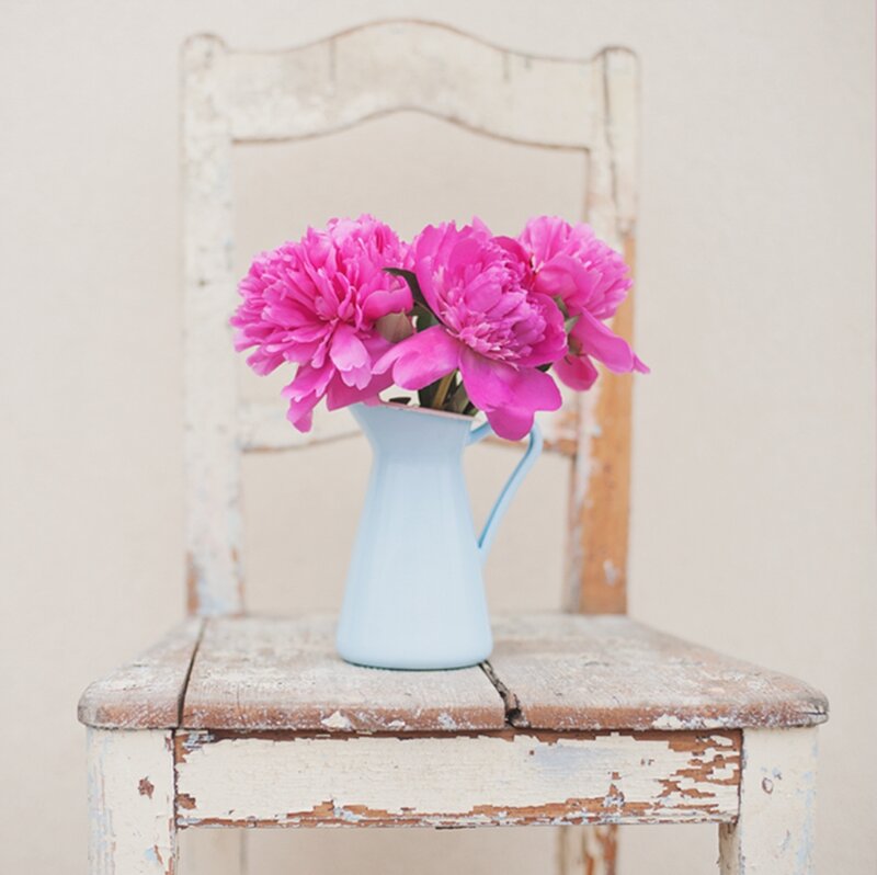 Pink Peonies in Pitcher — Serene, Photograph, Vase