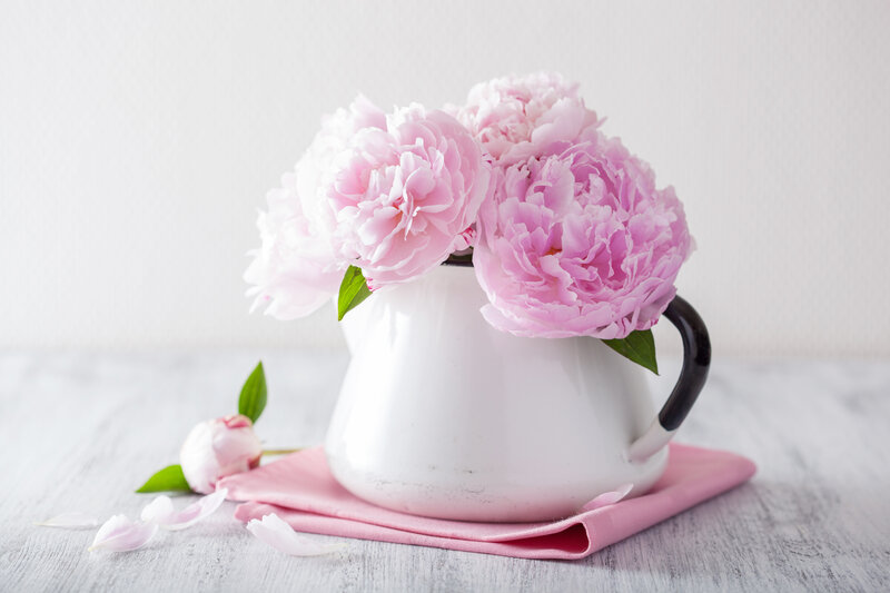 Pink Peonies in Pitcher — Serene, Spring