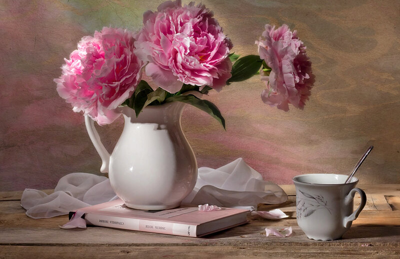 Pink Peonies in Pitcher — Serene