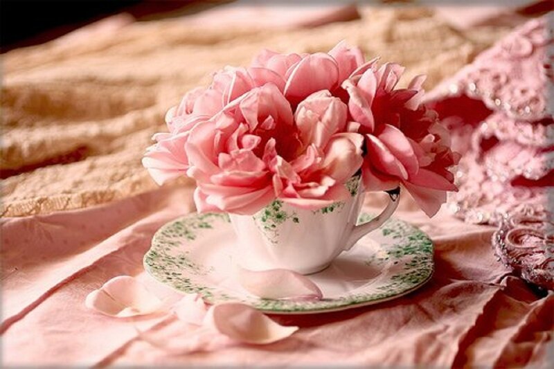 Pink Peonies in Teacup