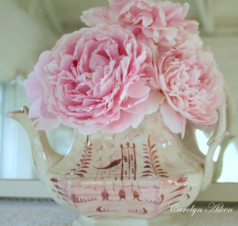 Pink Peonies in Teapot