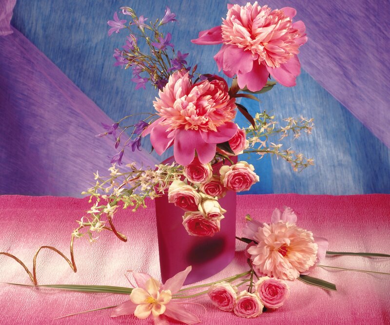 Pink Peonies in Vase — Calm, Photograph, Roses, Flowers