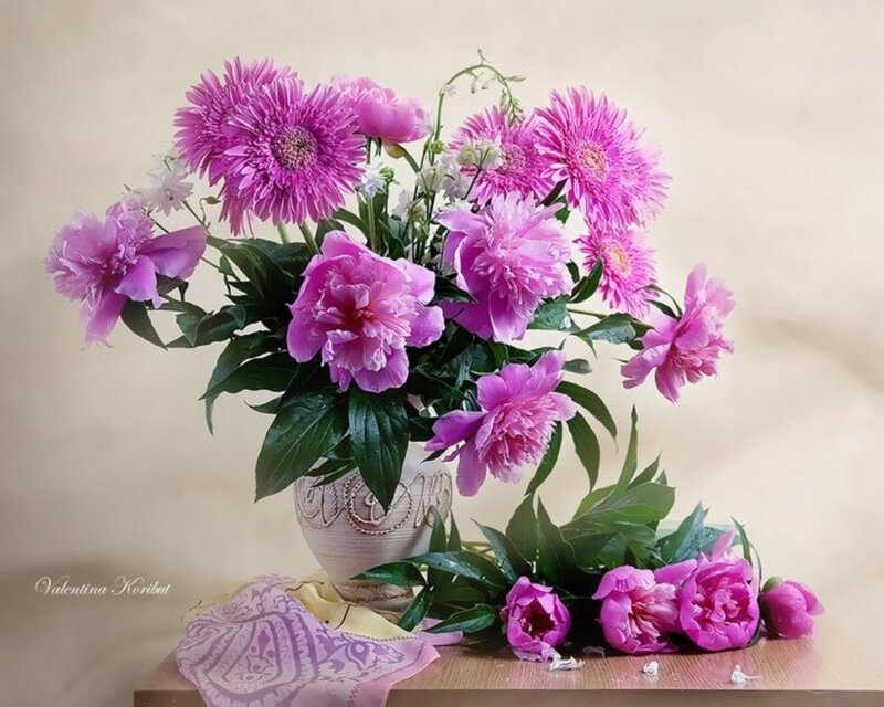 Pink Peonies in Vase — Calm, Photograph, Table, Scarf