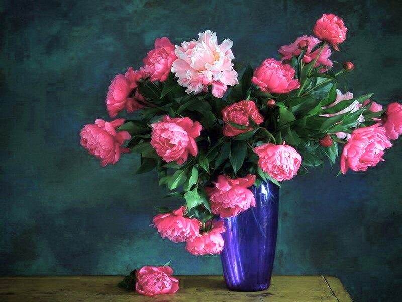 Pink Peonies in Vase — Calm, Photograph, Table