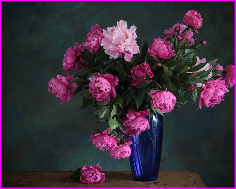 Pink Peonies in Vase — Dramatic, Photograph, Table