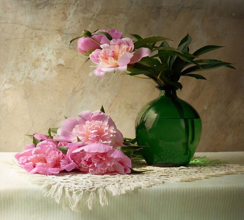 Pink Peonies in Vase — Green, Serene