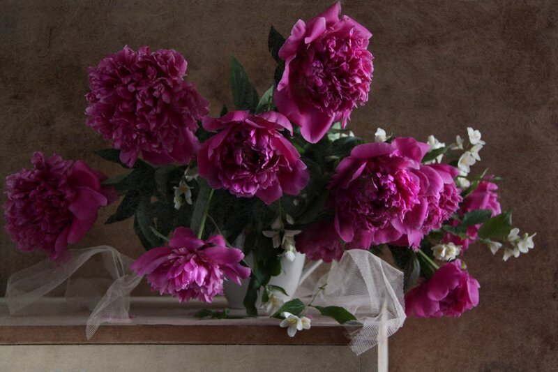 Pink Peonies in Vase — Magenta