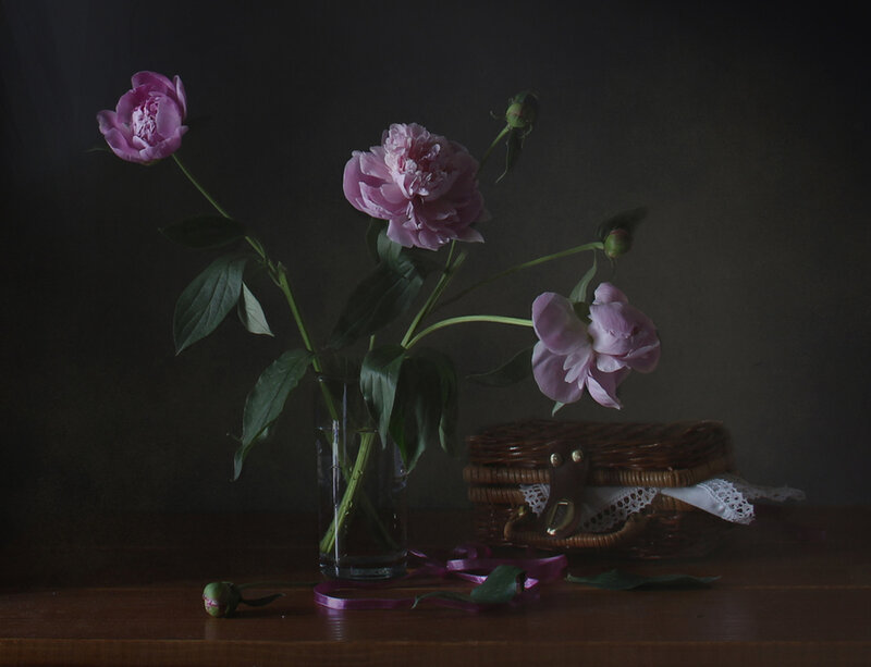 Pink Peonies in Vase — Purple, Dramatic, Photograph