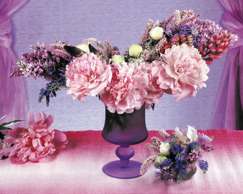 Pink Peonies in Vase — Purple, Serene, Photograph