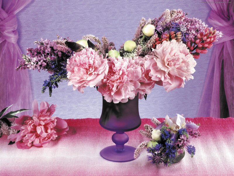 Pink Peonies in Vase — Purple, Serene