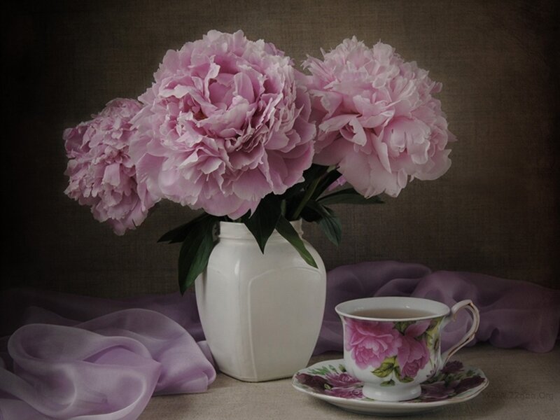 Pink Peonies in Vase — Purple