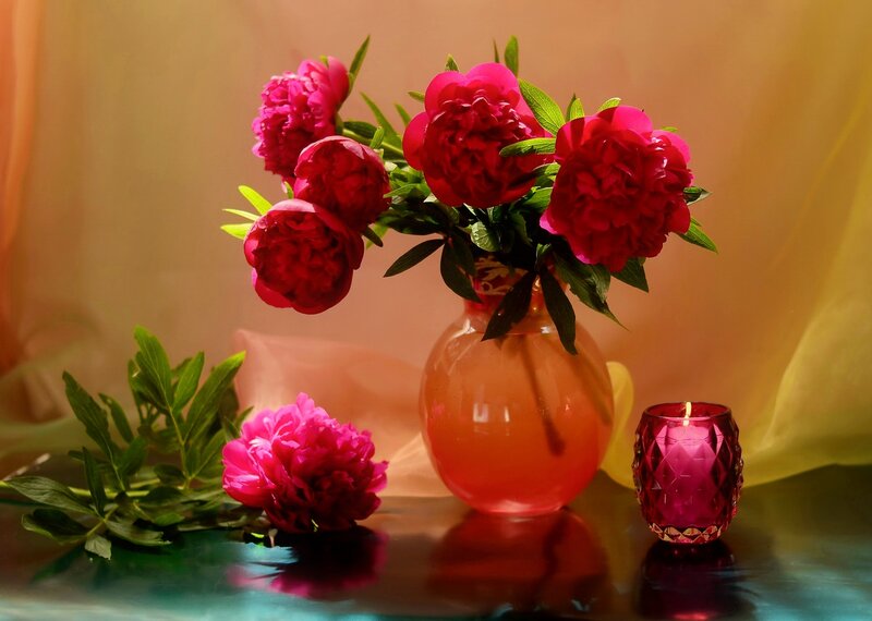 Pink Peonies in Vase — Red