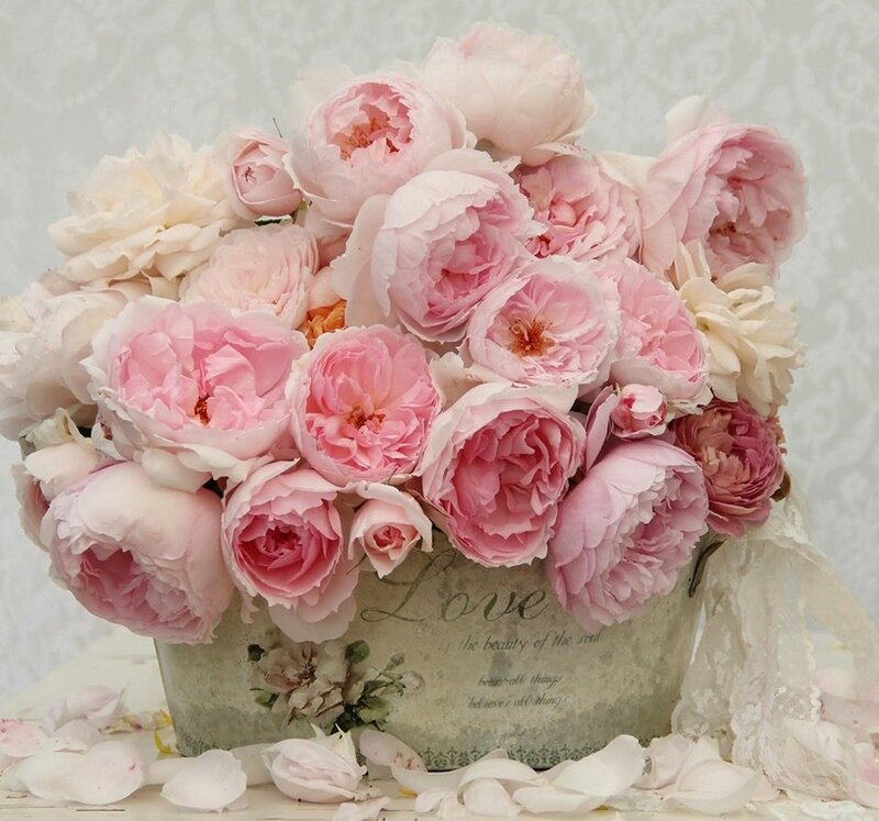 Pink Peonies in Vase — Romantic