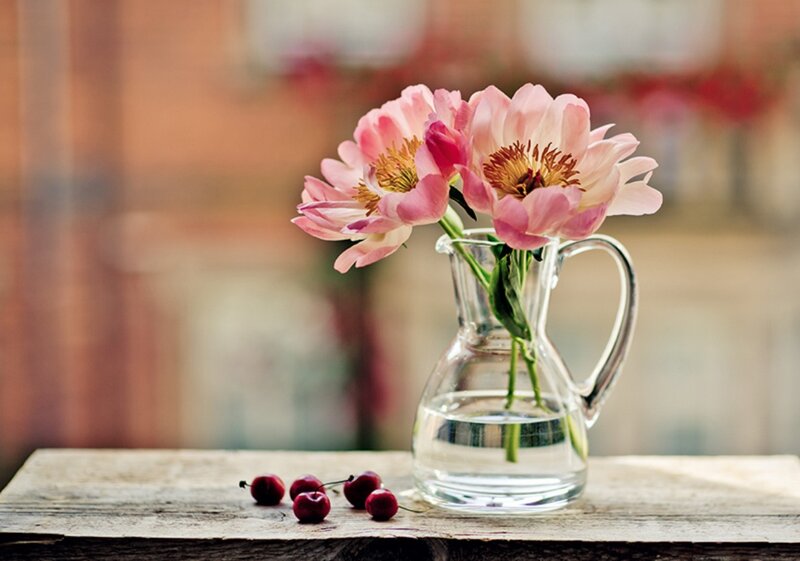 Pink Peonies in Vase — Serene, Afternoon, Photograph, Cherries