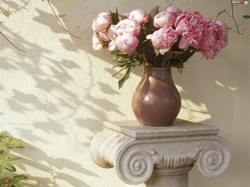 Pink Peonies in Vase — Serene, Afternoon, Photograph, Column