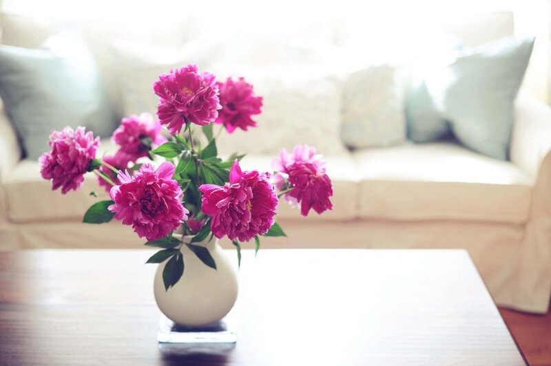Pink Peonies in Vase — Serene, Afternoon, Photograph, Couch