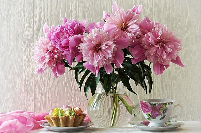 Pink Peonies in Vase — Serene, Afternoon, Photograph, Tea Cup, Cake