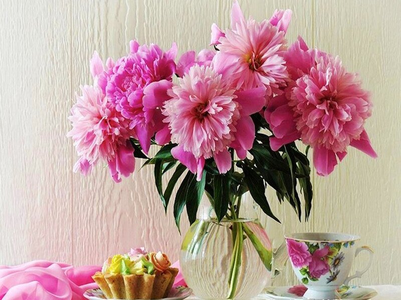 Pink Peonies in Vase — Serene, Afternoon, Photograph, Tea Cup