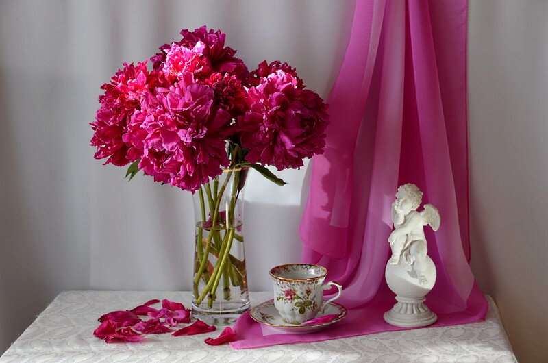 Pink Peonies in Vase — Serene, Afternoon, Photograph, Teacup