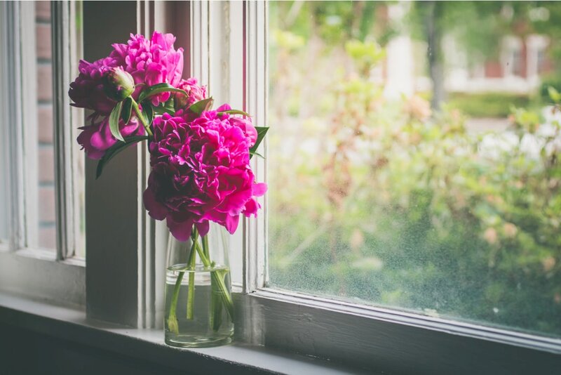 Pink Peonies in Vase — Serene, Afternoon, Photograph, Window, Greenery
