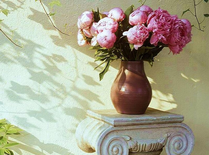 Pink Peonies in Vase — Serene, Afternoon