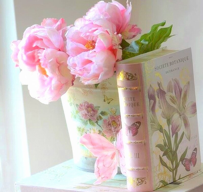 Pink Peonies in Vase — Serene, Morning, Photograph, Book