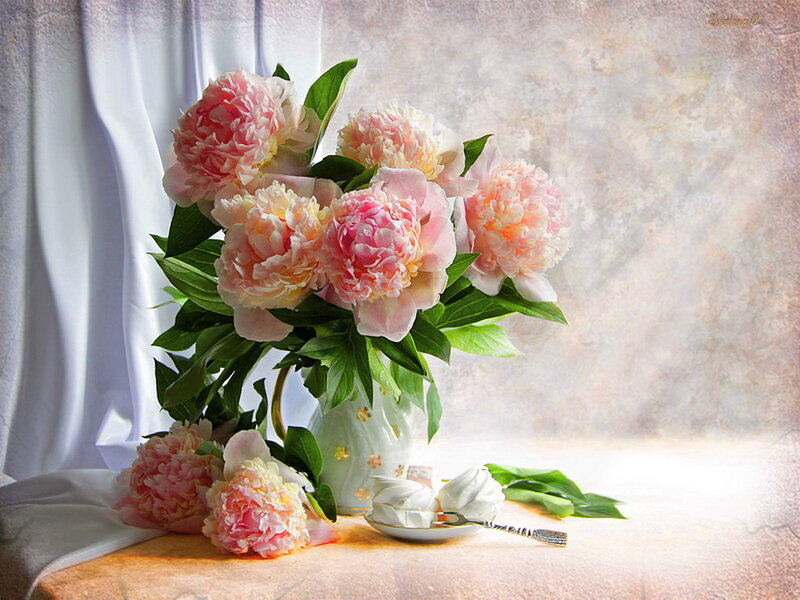 Pink Peonies in Vase — Serene, Morning, Photograph, Tea Set