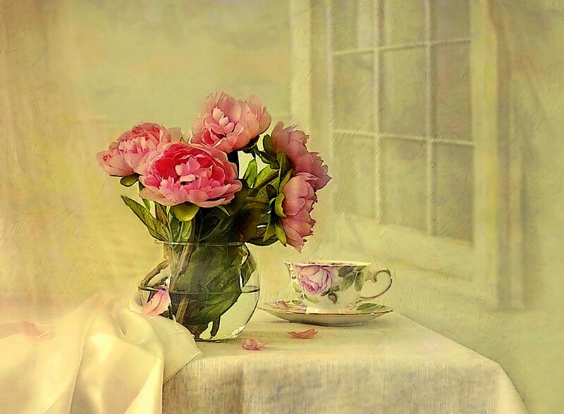 Pink Peonies in Vase — Serene, Morning