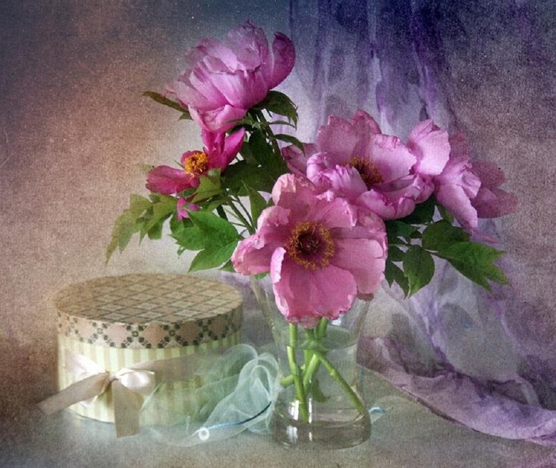 Pink Peonies in Vase — Serene, Painting, Box