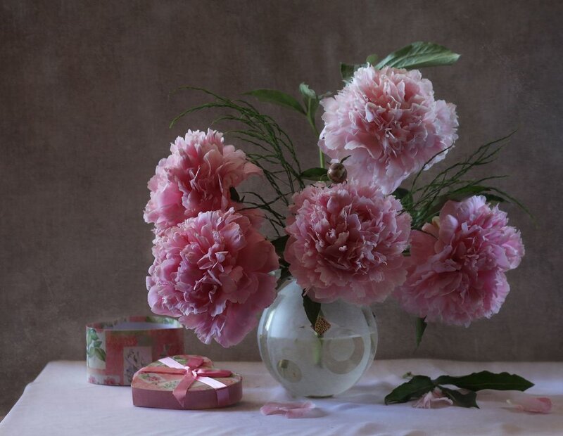 Pink Peonies in Vase — Serene, Photograph, Gift Box, Tablecloth
