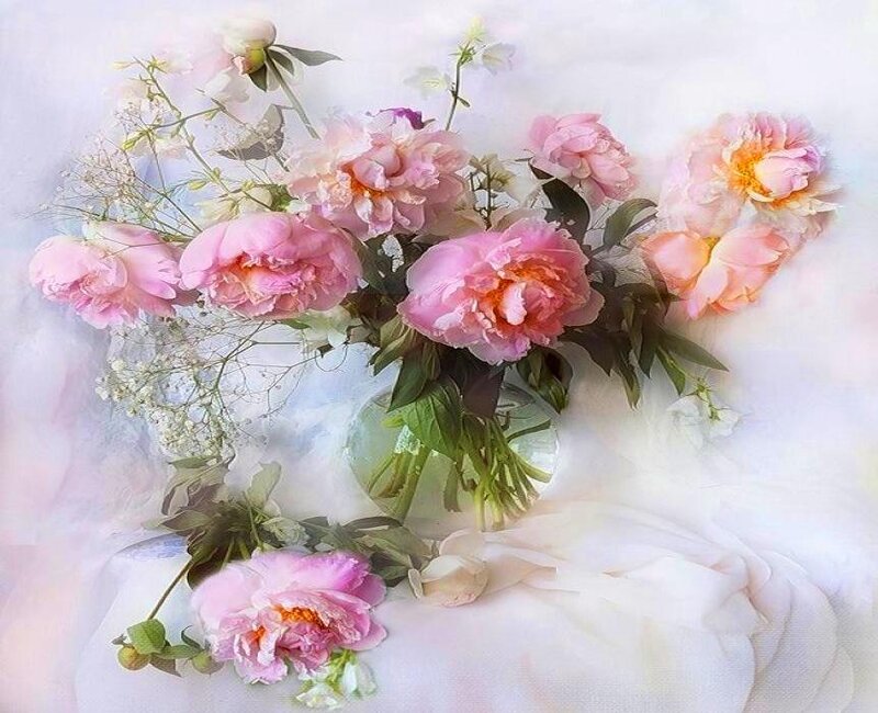Pink Peonies in Vase — Serene, Photograph, Green Leaves