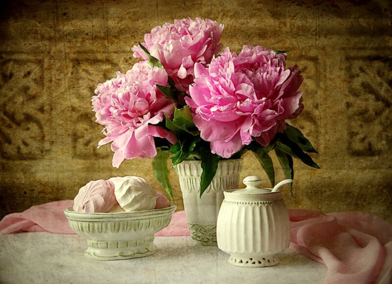 Pink Peonies in Vase — Serene, Photograph, Marshmallows