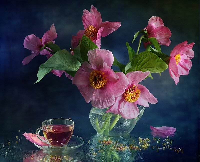 Pink Peonies in Vase — Serene, Photograph, Tea Cup, Saucer