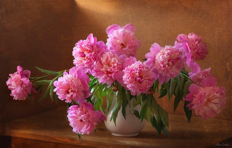 Pink Peonies in Vase — Serene, Photograph, Wooden Surface