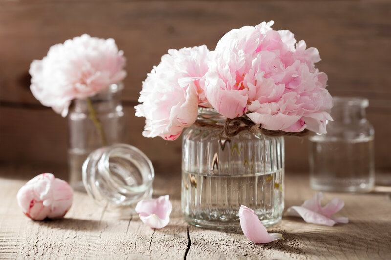Pink Peonies in Vase — Serene, Spring, Photograph, Glass Jars