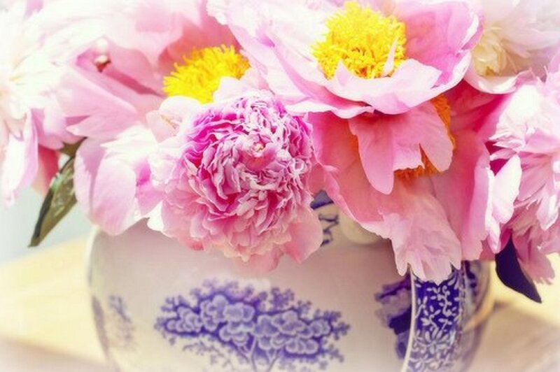 Pink Peonies in Vase — Serene, Spring, Photograph