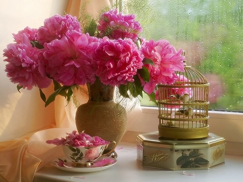 Pink Peonies in Vase — Serene, Spring