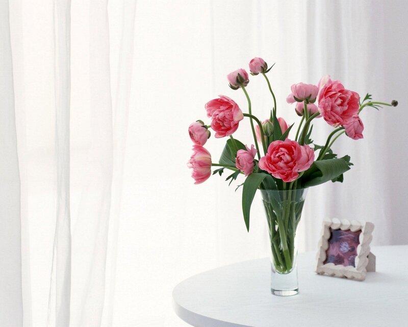 Pink Peonies in Vase — White, Serene, Morning, Photograph, Table, Picture Frame