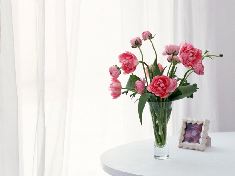 Pink Peonies in Vase — White, Serene, Morning