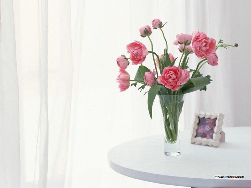 Pink Peonies in Vase — White