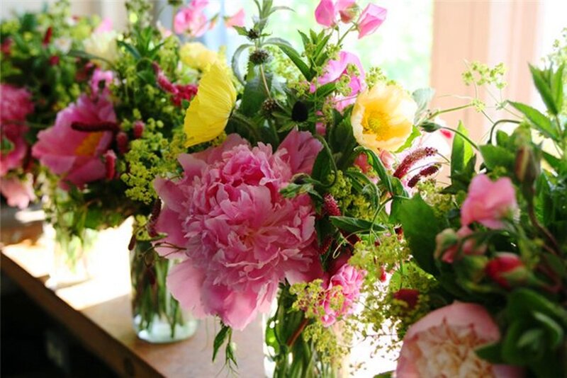 Pink Peonies in Vases — Bright