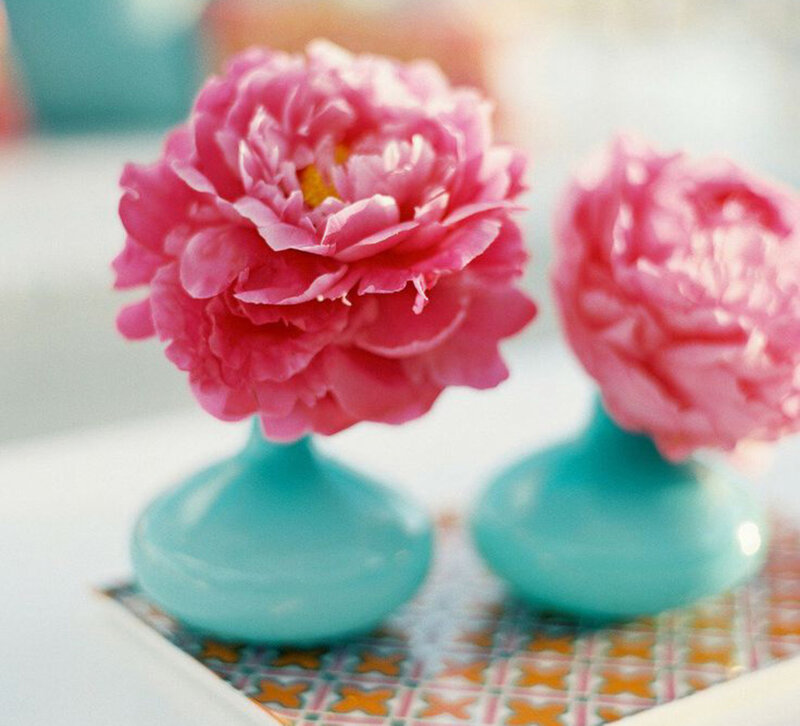 Pink Peonies in Vases — Calm
